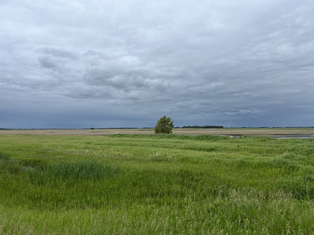 Field near Ronald Reagan Minuteman Missile Site, North Dakota